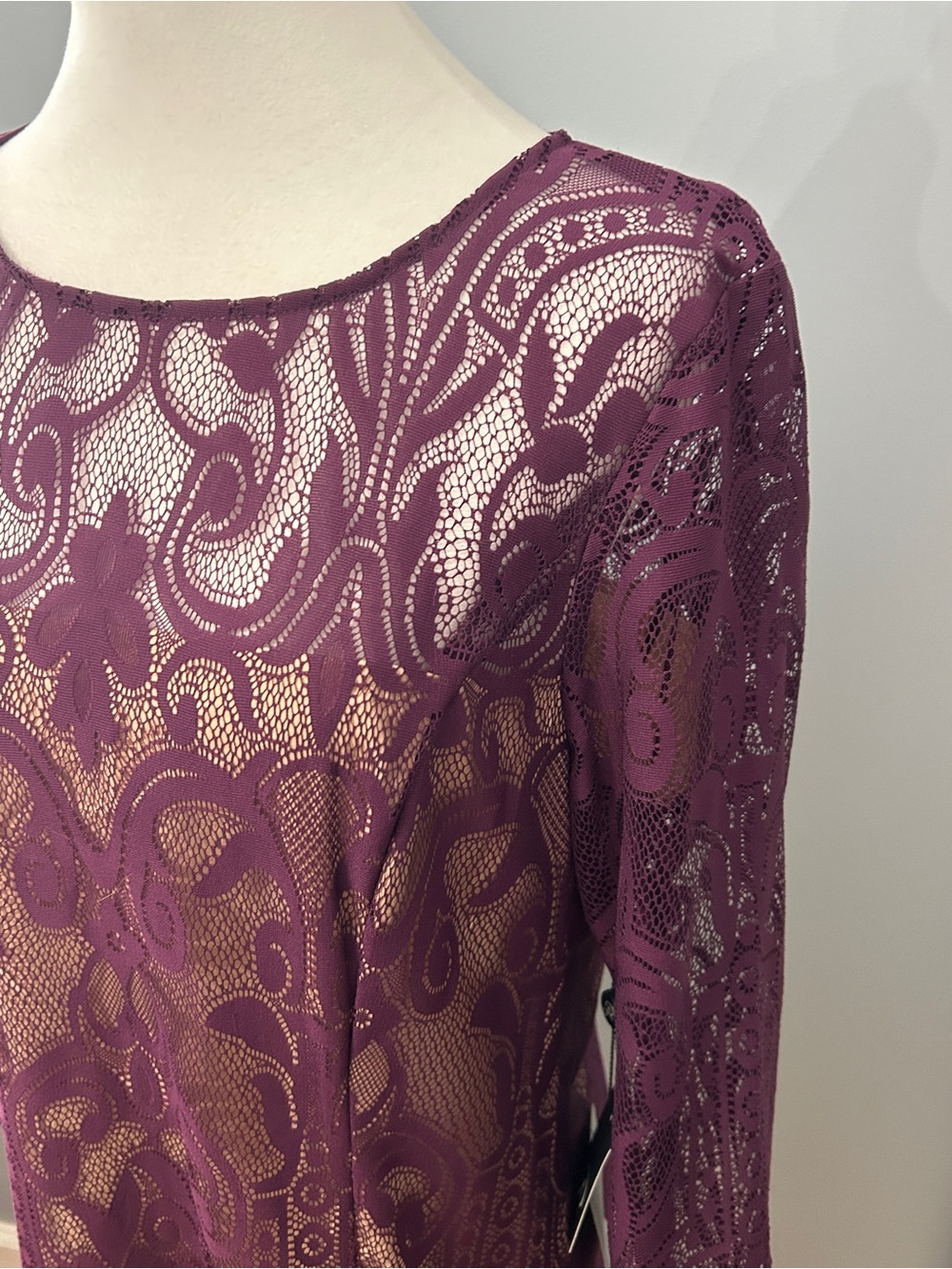 NWT Adrianna Papell Allover Lace Sheath Dress Berry Purple Nordstrom Size 16 - Picture 3 of 10